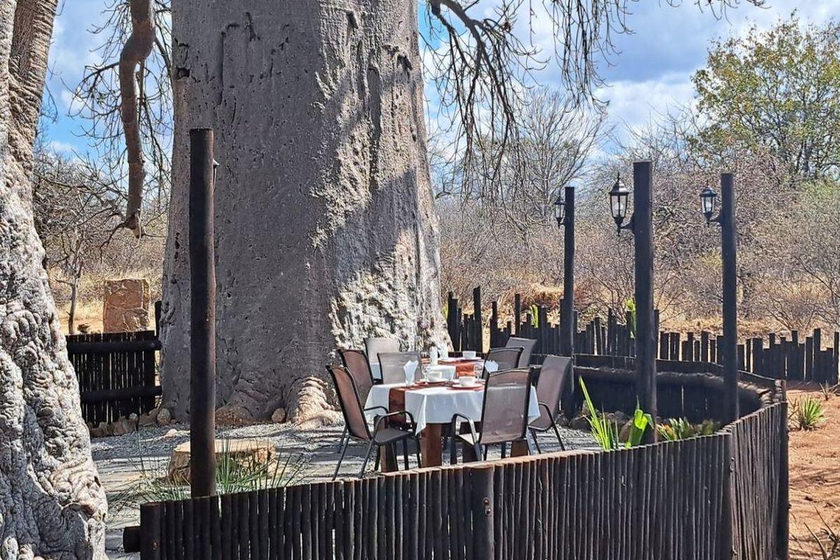 Hambana Lifestyle Lodge | Musina(Messina) Accommodation