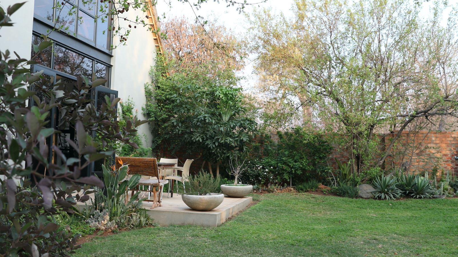 The Lazy Leopard Lodge