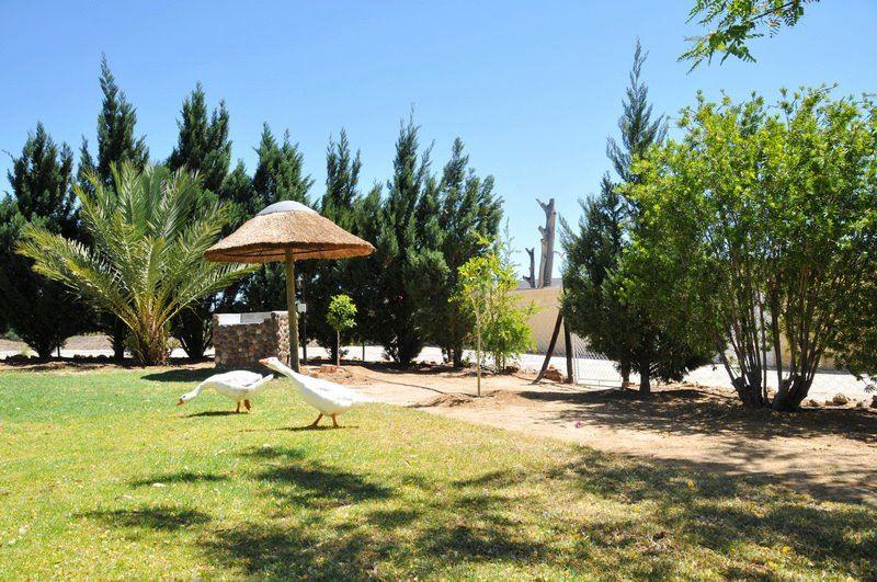 Oasis Country Lodge | Klawer Accommodation