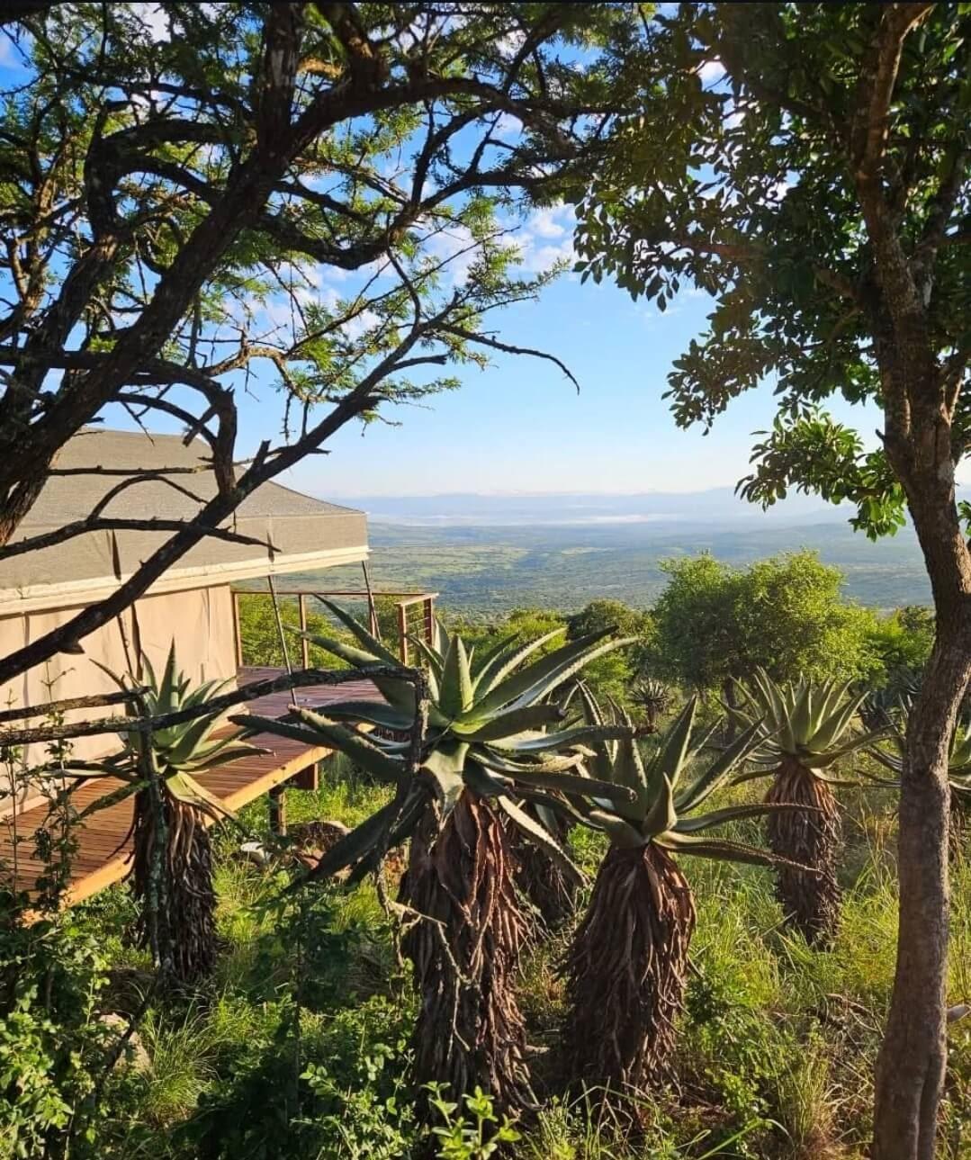 Loziba Wildlife Reserve Tented Camp | Zululand Accommodation