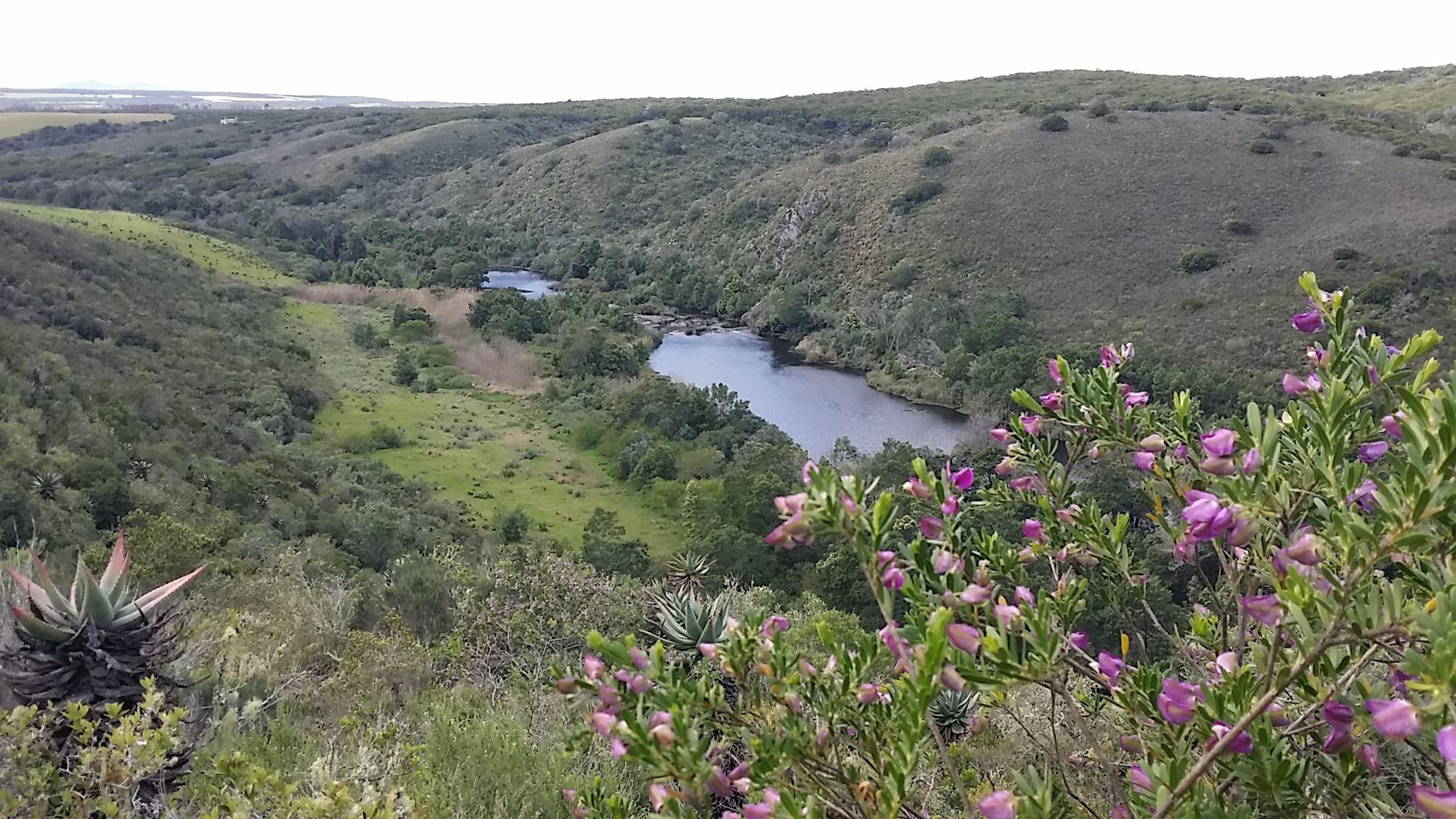 Wild Rescue NPC | Hotels Stilbaai