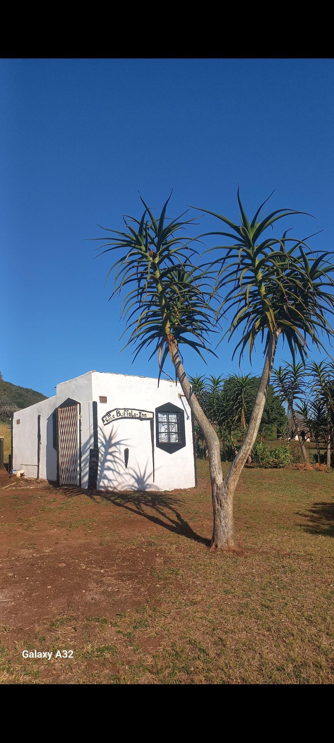 Buffalo inn Hluhluwe | Accommodation Hluhluwe-iMfolozi Park