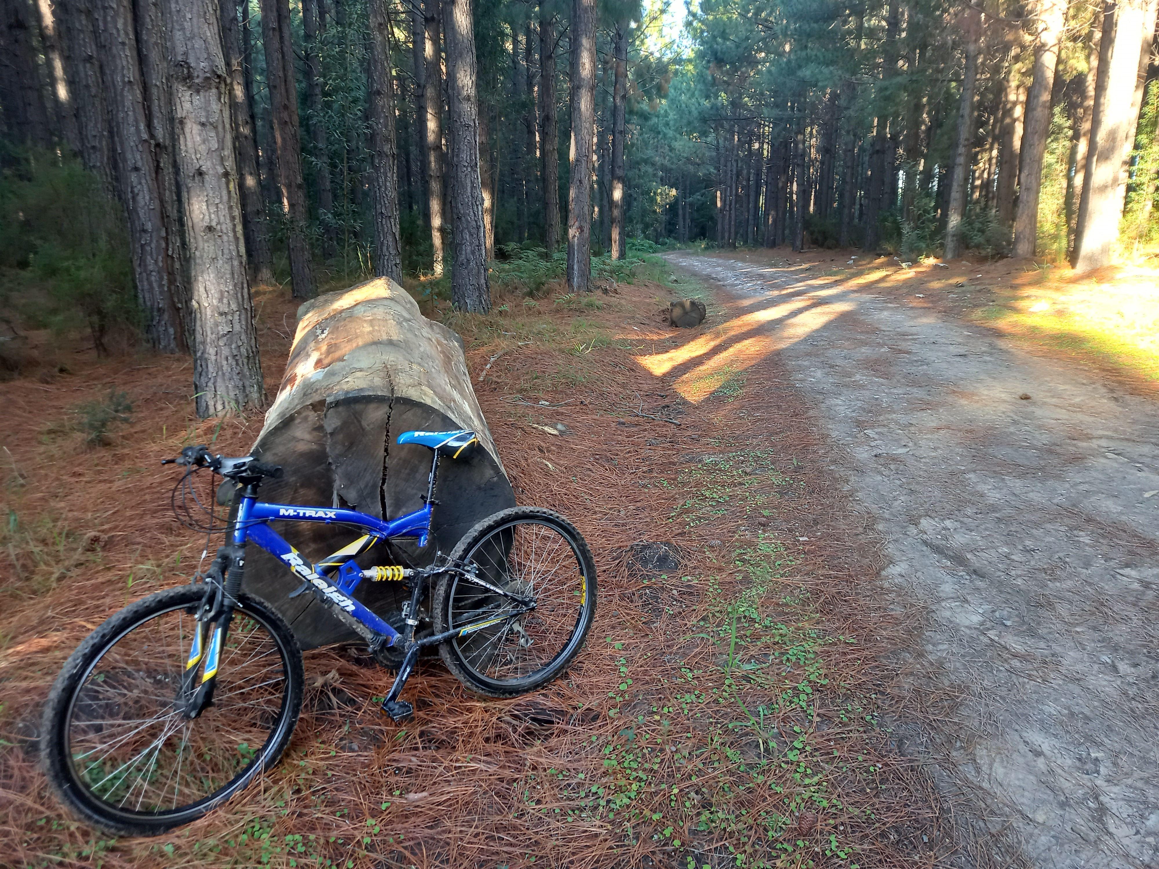 Villa Agape | Accommodation Tsitsikamma Area