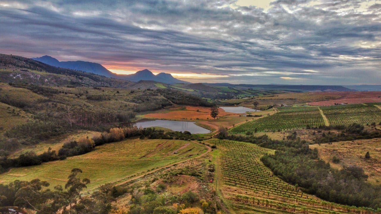 Farside Macadamias | Riversdale Self-catering