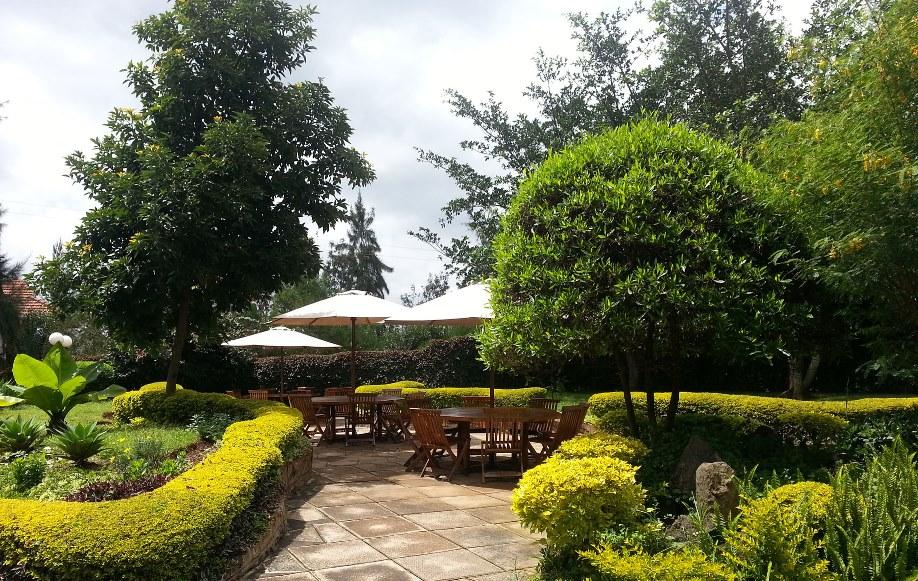 Margarita House Reserve Your Hotel, SelfCatering, or Bed and