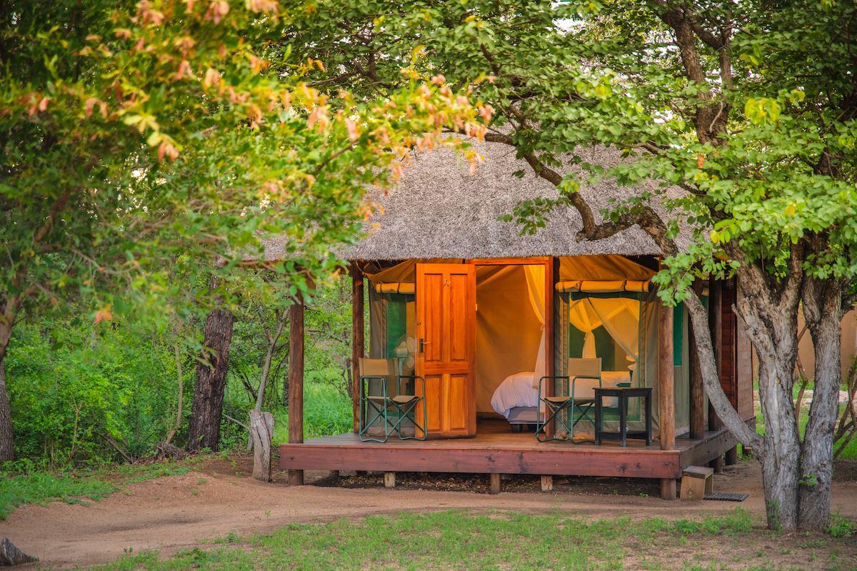 Shindzela Tented Safari Camp | Central Kruger Park african-safari