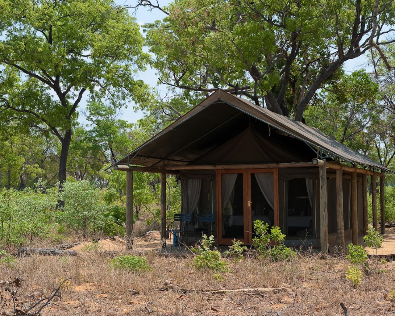Wilderness Safaris Davison's Camp | Accommodation Hwange National Park