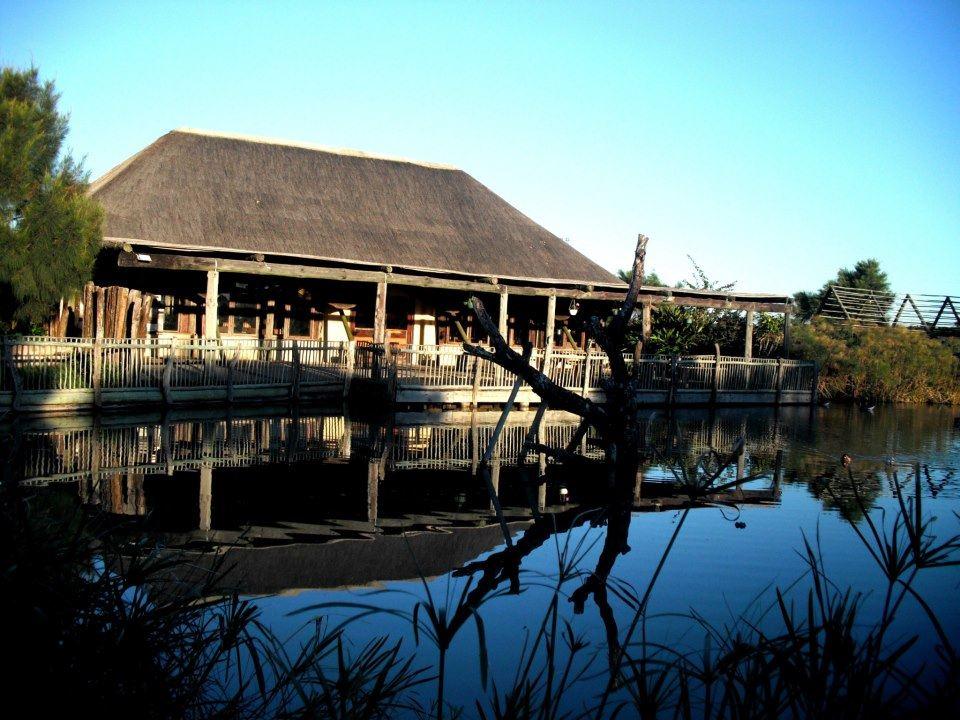 Shabanga Guest Farm | Accommodation Cove Rock