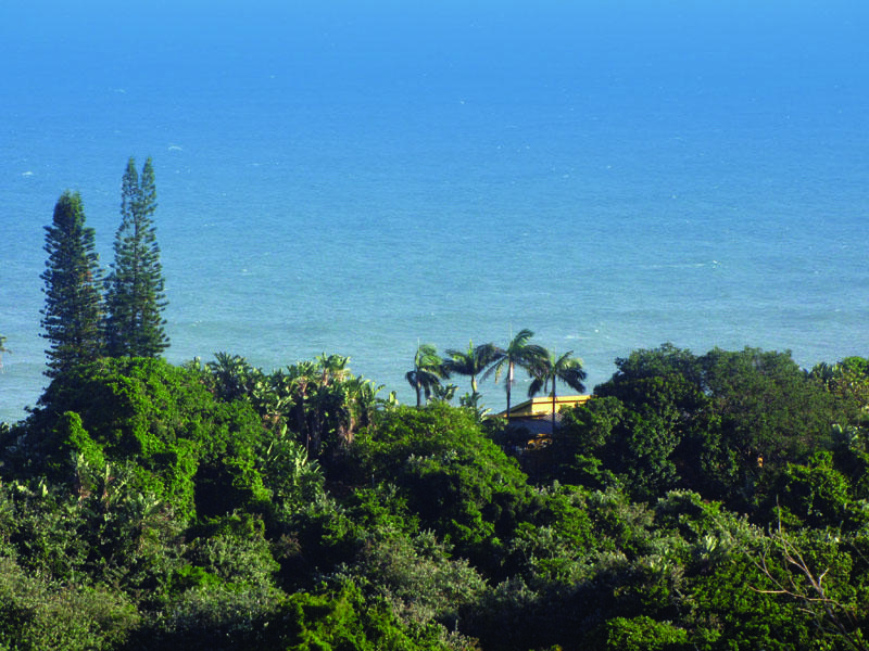Yengele Paradise Boutique Beach Lodge | Accommodation Trafalgar
