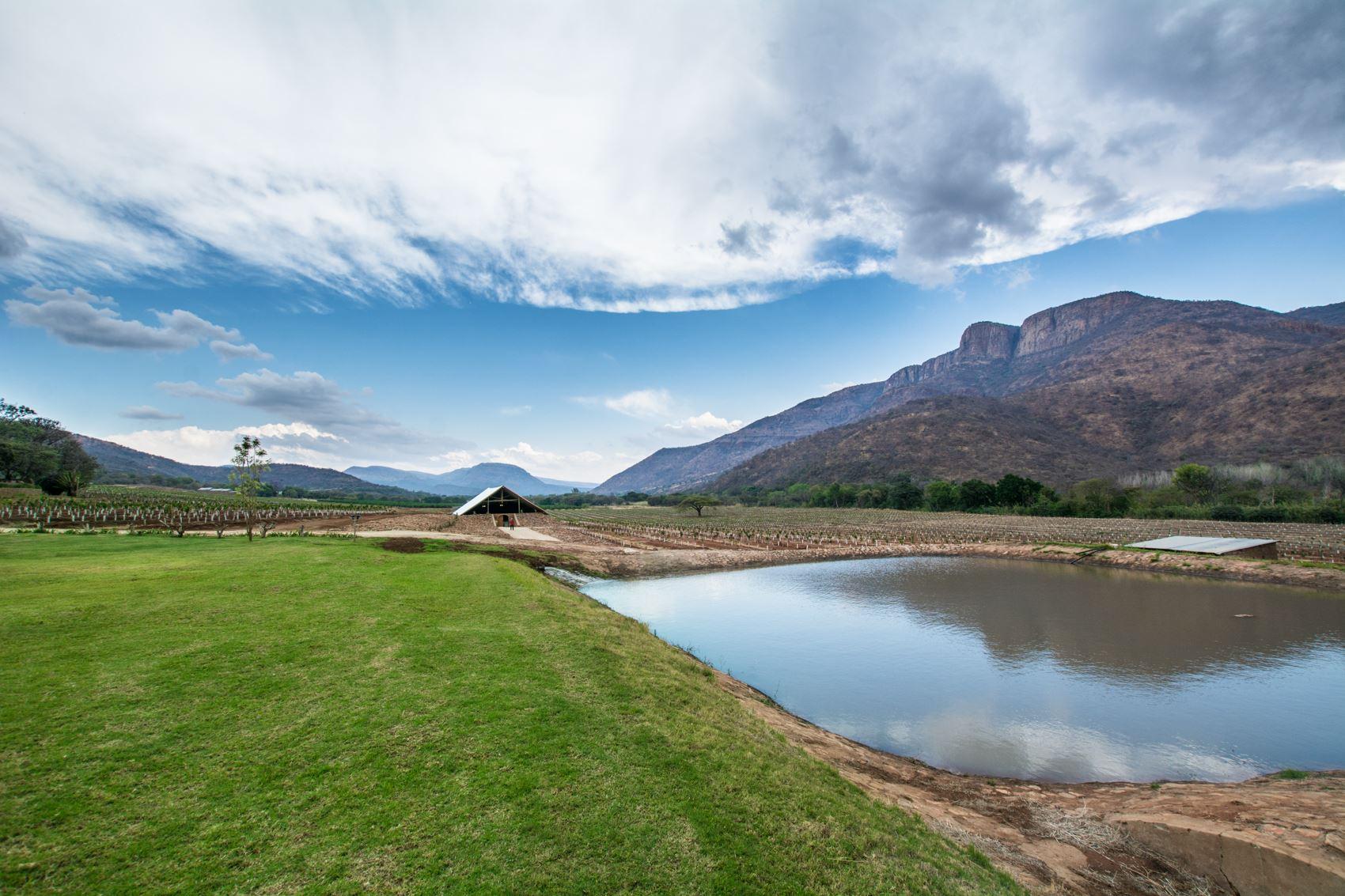 Buffelsvley Guest Farm | Lydenburg Accommodation