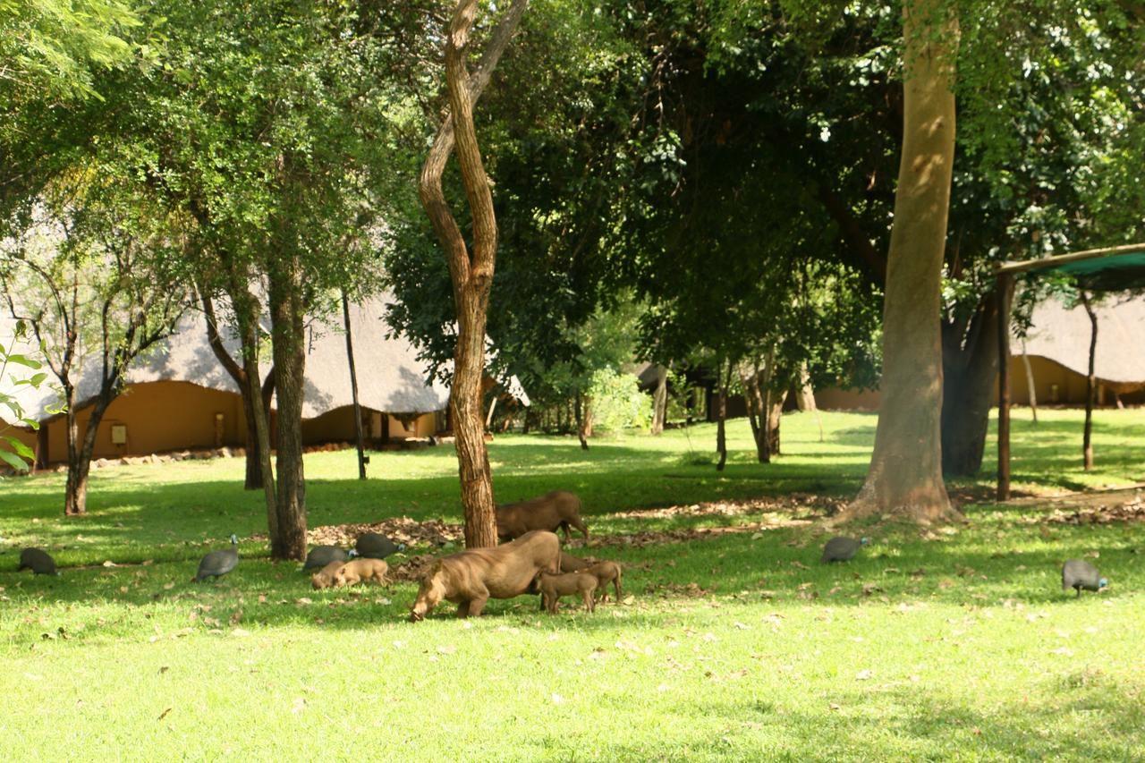 Lokuthula Lodge Secure Your Holiday Self Catering Or Bed And