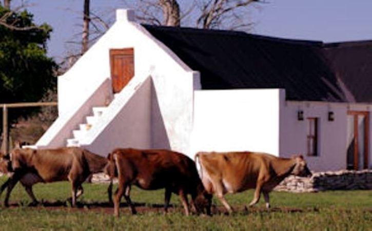 A Farm Story Country House | Stilbaai Accommodation