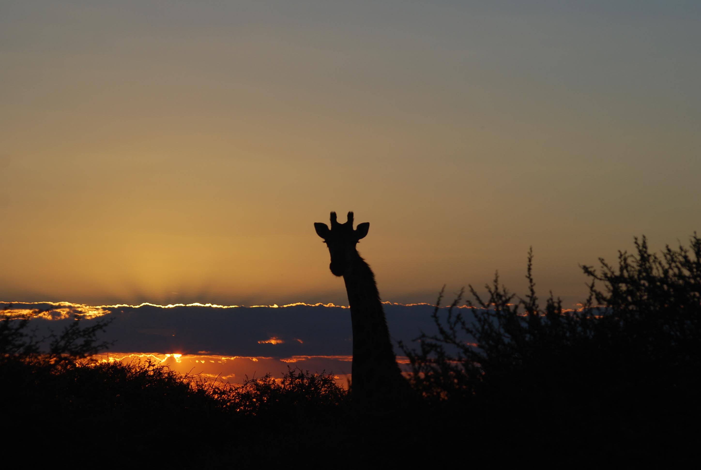 Leopardsong Game Lodge