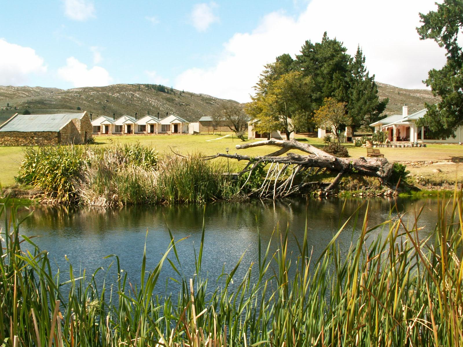 Mountain Pastures | Accommodation Uniondale