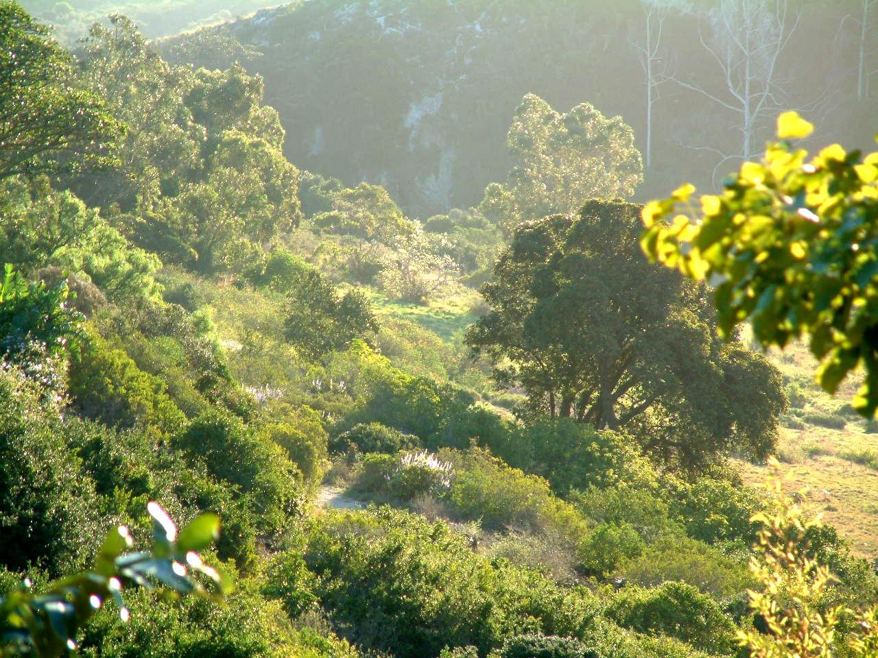 Villa Casa Guest House | Walmer Self-catering