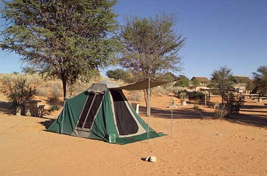 Twee Rivieren Rest Camp Kgalagadi Transfrontier Park SANParks | Accommodation Kgalagadi National Park