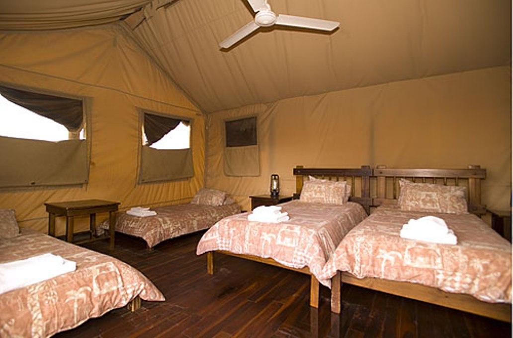 SANParks Kalahari Tent Camp Kgalagadi Transfrontier Park | Reserve Your ...