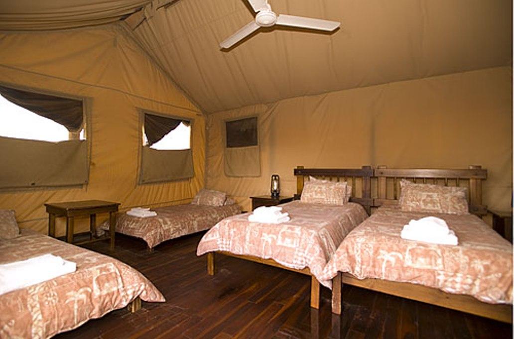Kalahari Tent Camp Kgalagadi Transfrontier Park SANParks | Kgalagadi National Park Accommodation