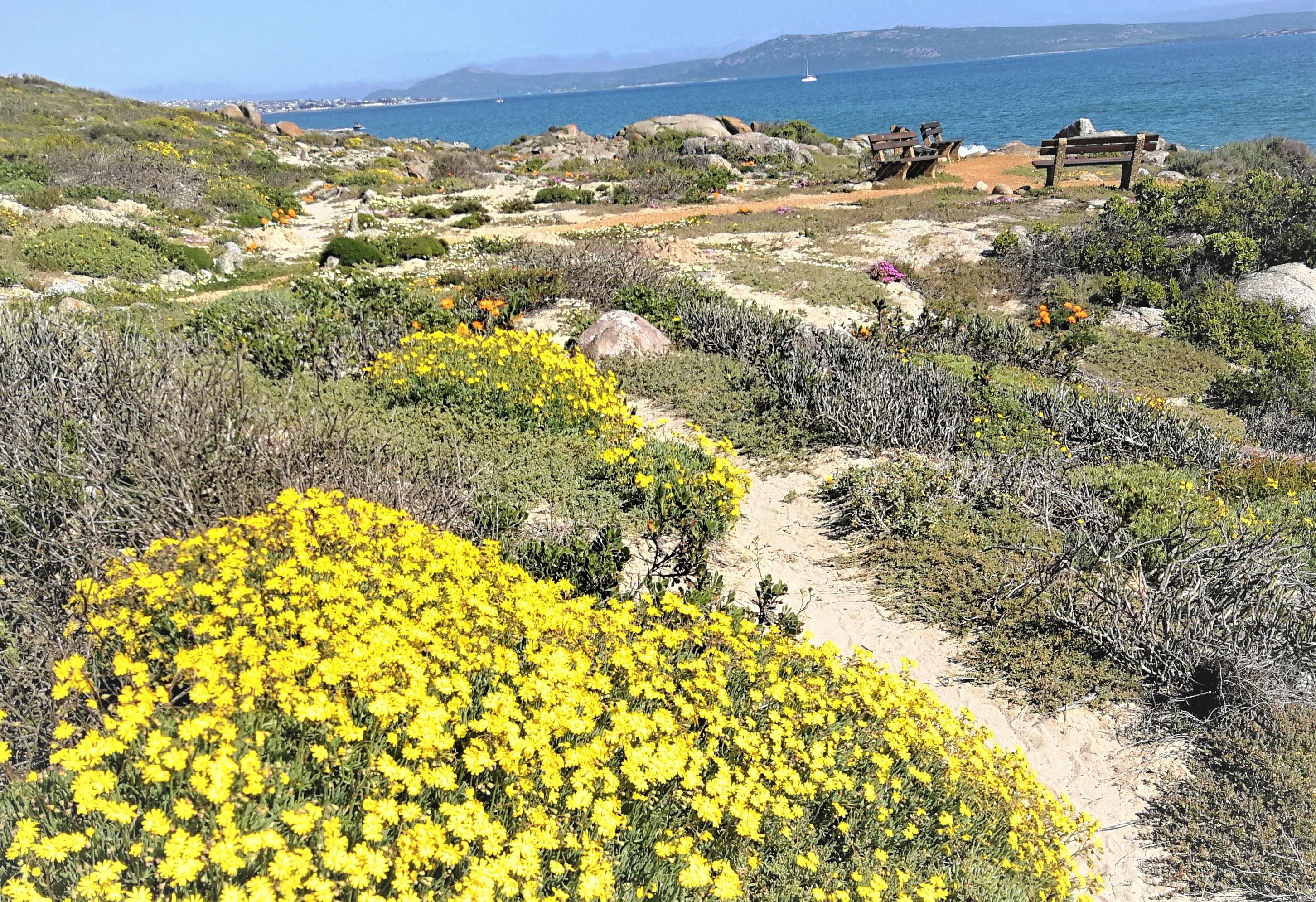Paradise Beach Apartments Langebaan