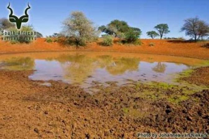 Haak-en-Steek Rest Camp Mokala National Park SANParks | Mokala National Park Accommodation