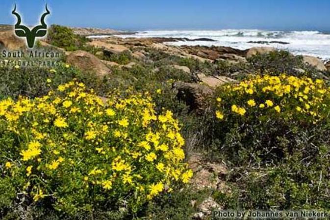 Namaqua National Park SANParks | Accommodation Namaqua National Park