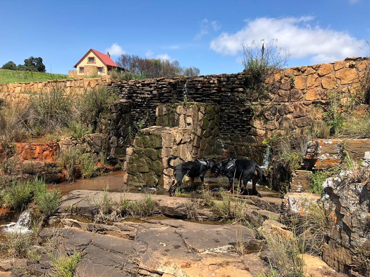 Highland Giants Estate | Accommodation Dullstroom