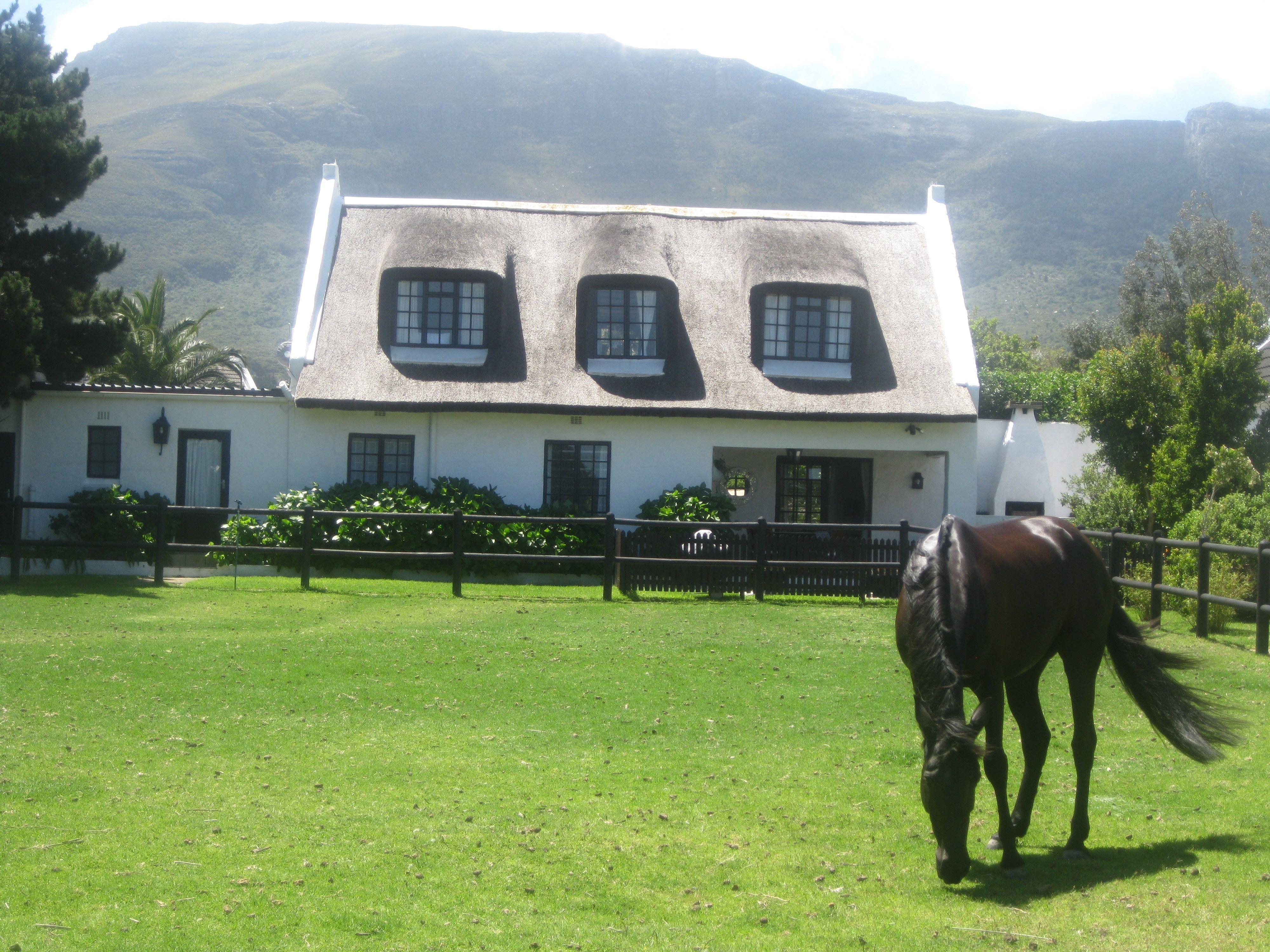 Buren Cottage | Accommodation Noordhoek