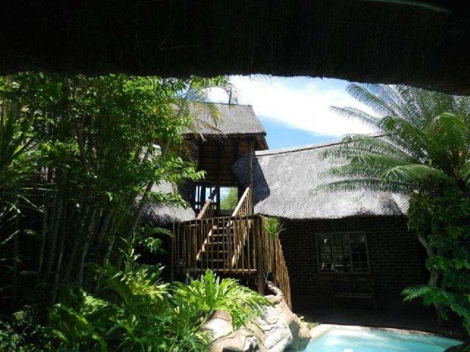 Kruger Bush Baby | Marloth Park Accommodation