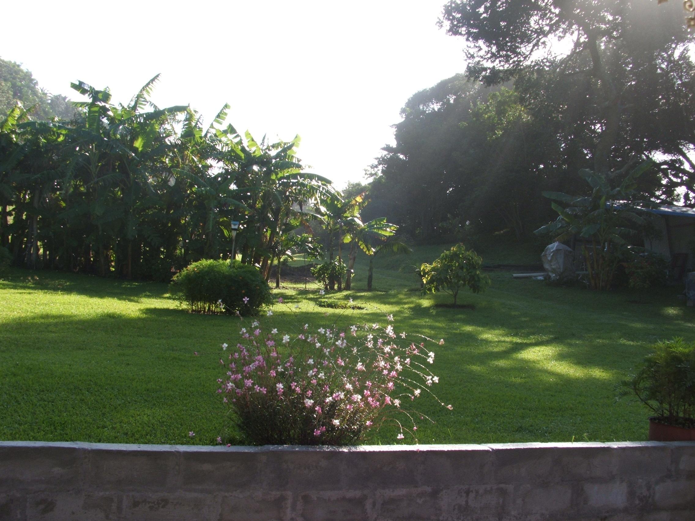 Gecko's Place | Accommodation Port St Johns