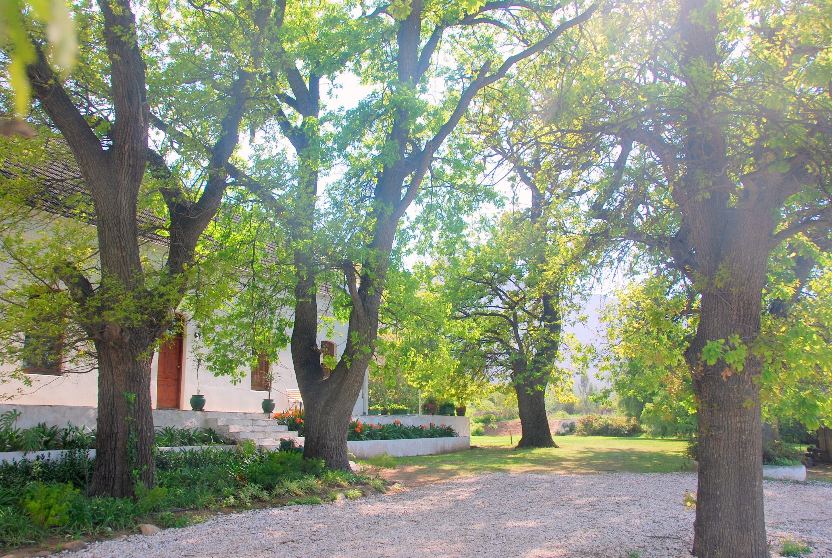 Audrey’s Vineyard Cottage & Homestead | Nuy Accommodation