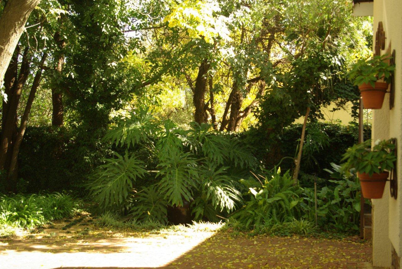 Hibiscus Lane | Accommodation Irene