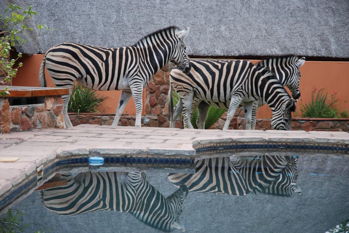 Blyde River Canyon Lodge | Resorts Hoedspruit