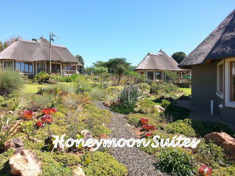 Rocky Aloe Lodge | West Rand Specials