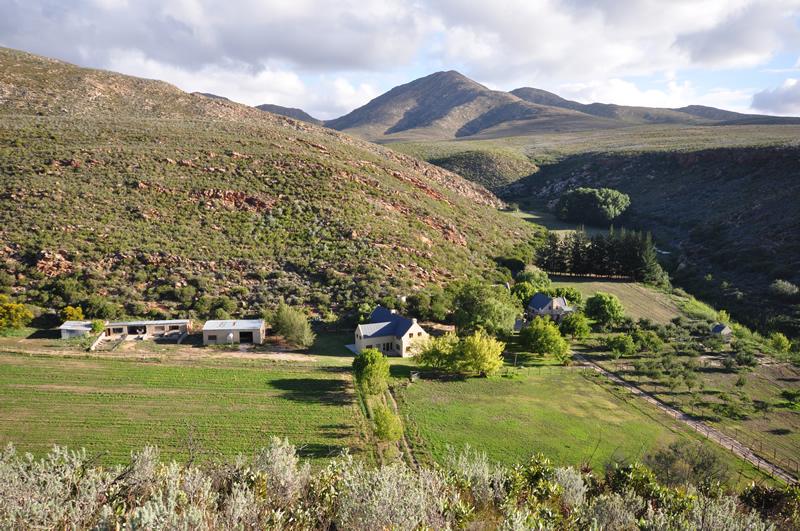 Blue Hill Escape | Baviaanskloof Self-catering