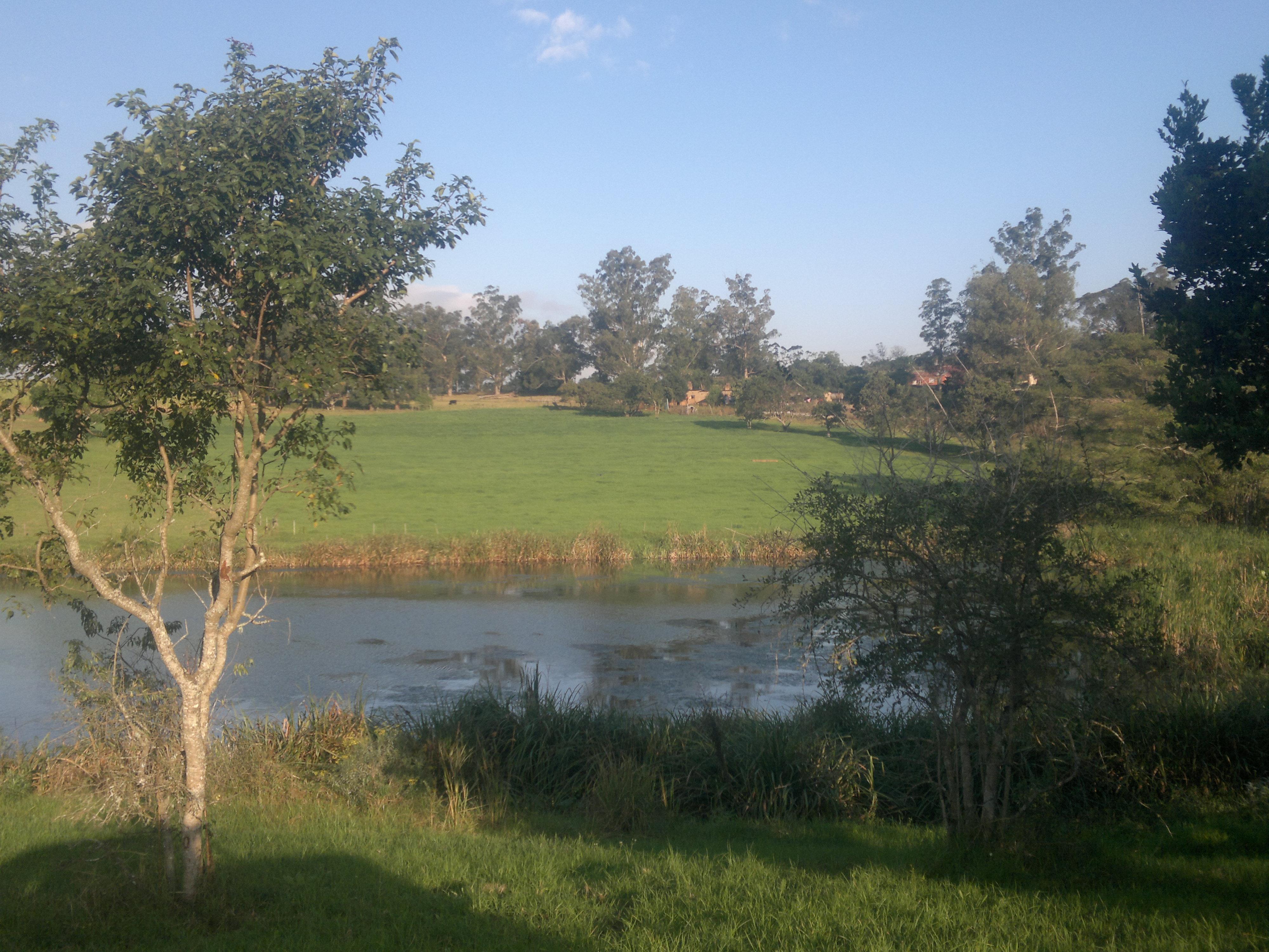 Sugar Fields | Eston Accommodation