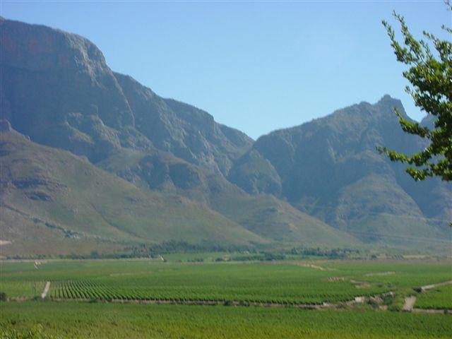 Paarl Golf Club (Boschenmeer Estate) lies in the Berg River Valley, surrounded by magnificent mountain ranges.