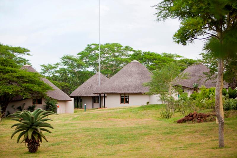 Ubizane Zululand Safari Lodge | Self-catering Hluhluwe