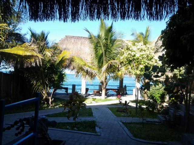 Dolphin Dhow Accommodation