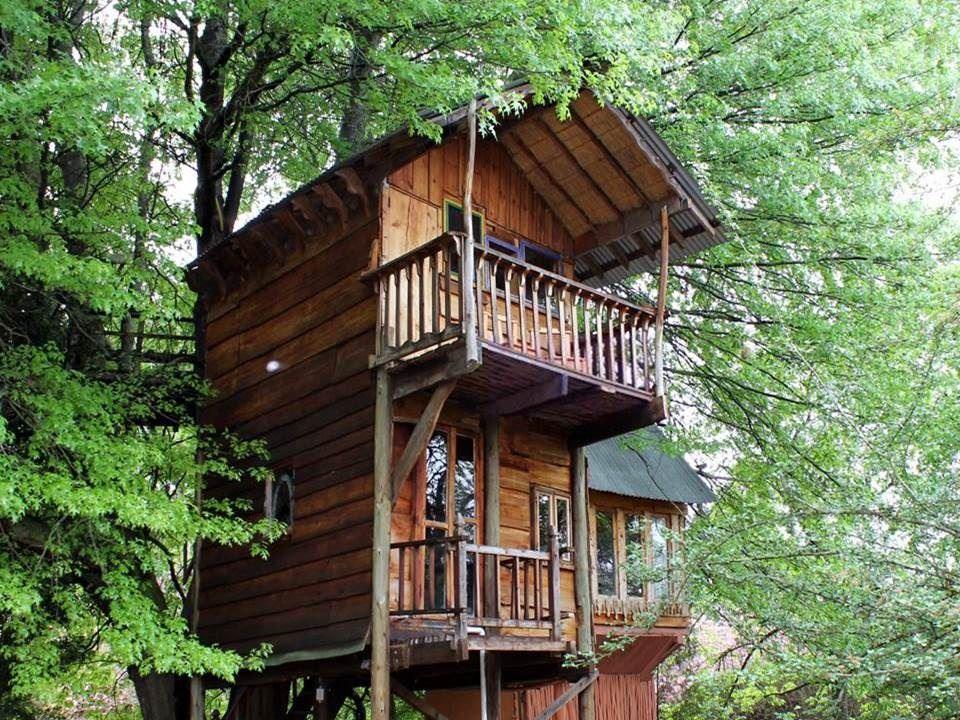 Sycamore Avenue Treehouses | Mooi River Accommodation
