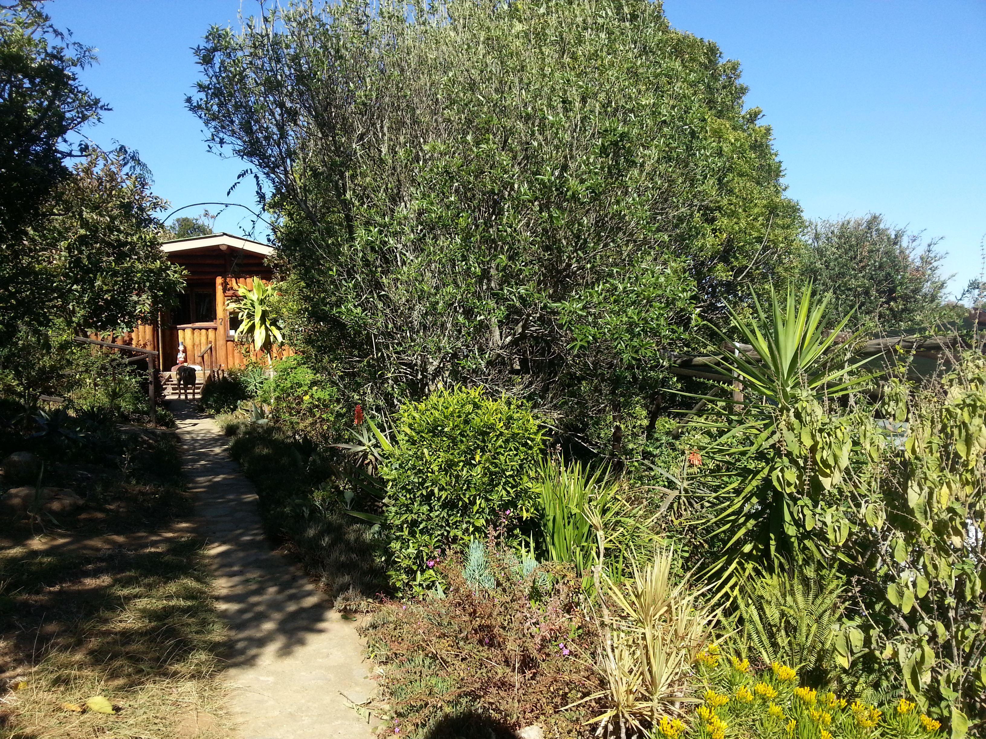 Veki's Village | Accommodation Malunge
