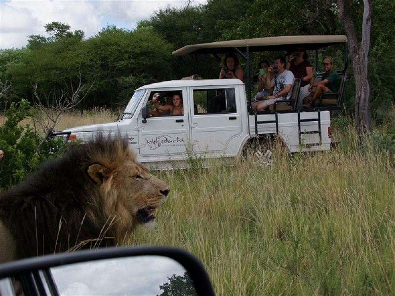 Game Drives