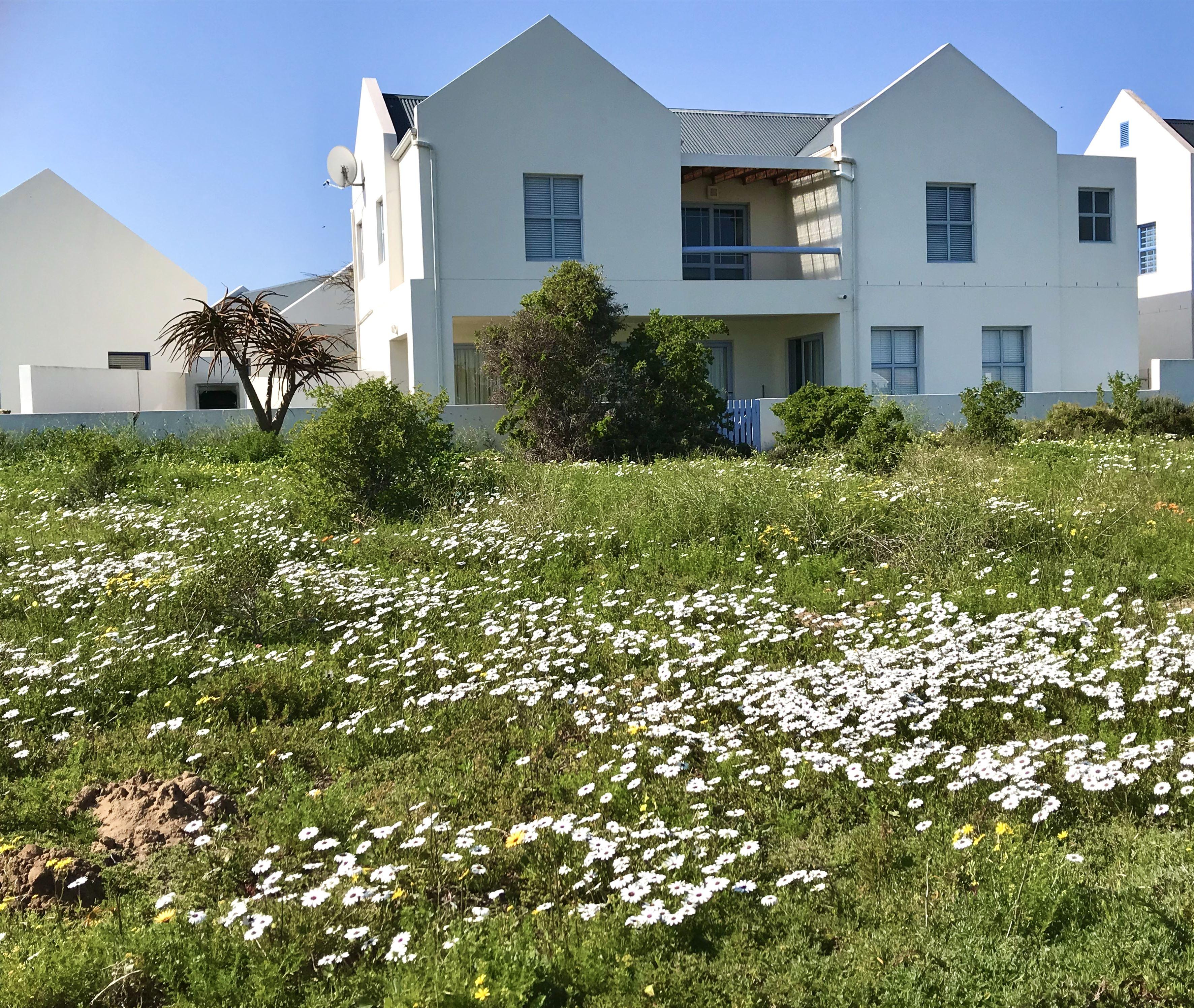 Perfect 10 - The House | Blue Lagoon Accommodation