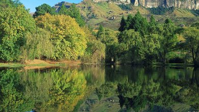 Things to do in Drakensberg Park (World Heritage Site) and surrounds