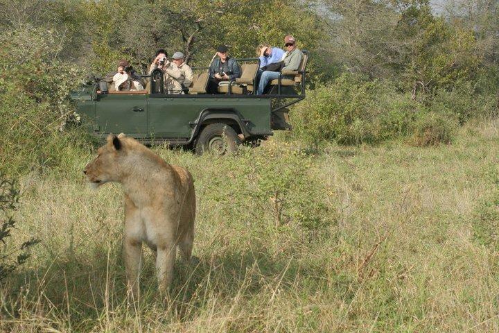 nDzuti Safari Camp | Lodges Klaserie Private Nature Reserve