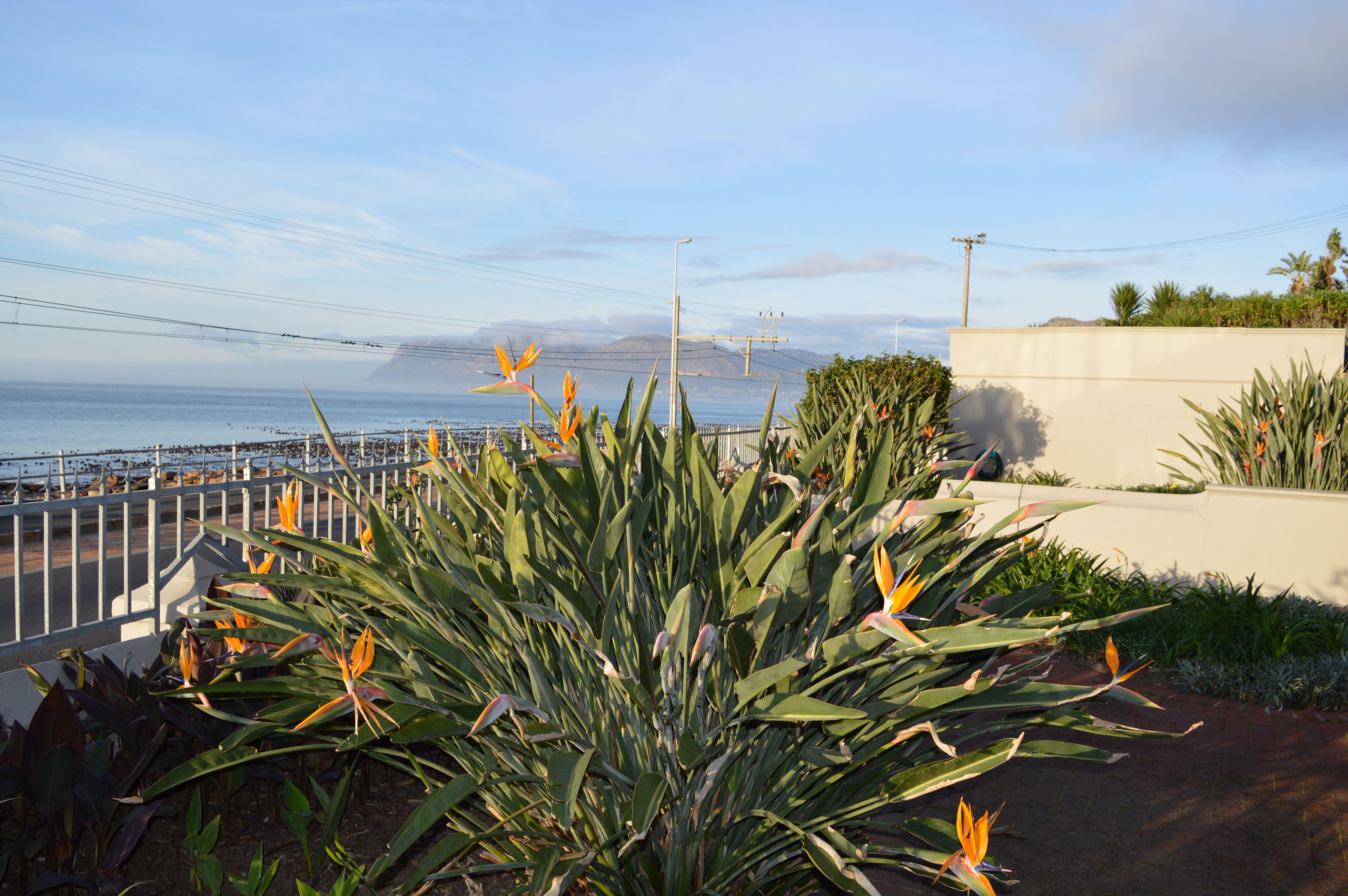 Kimberley Cottage | False Bay Specials