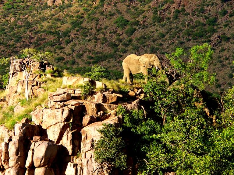 Damaraland Accommodation