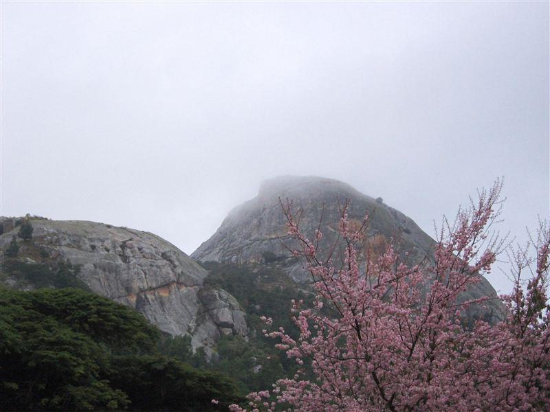 Eastern Highlands South Travel Guide