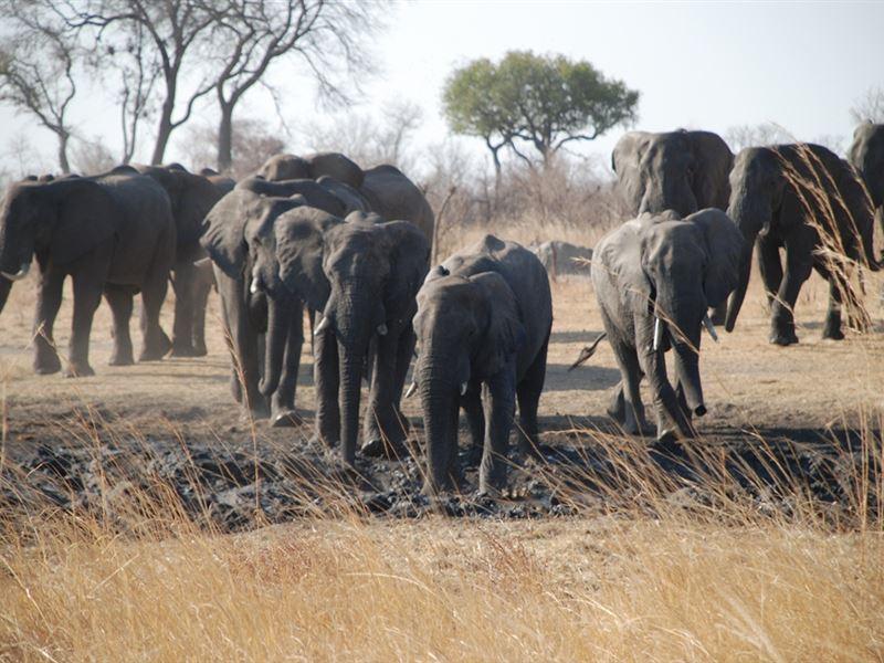 Hwange Accommodation