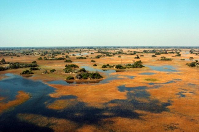 Okavango Delta Model.PageTitle