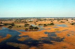 Okavango Delta Accommodation